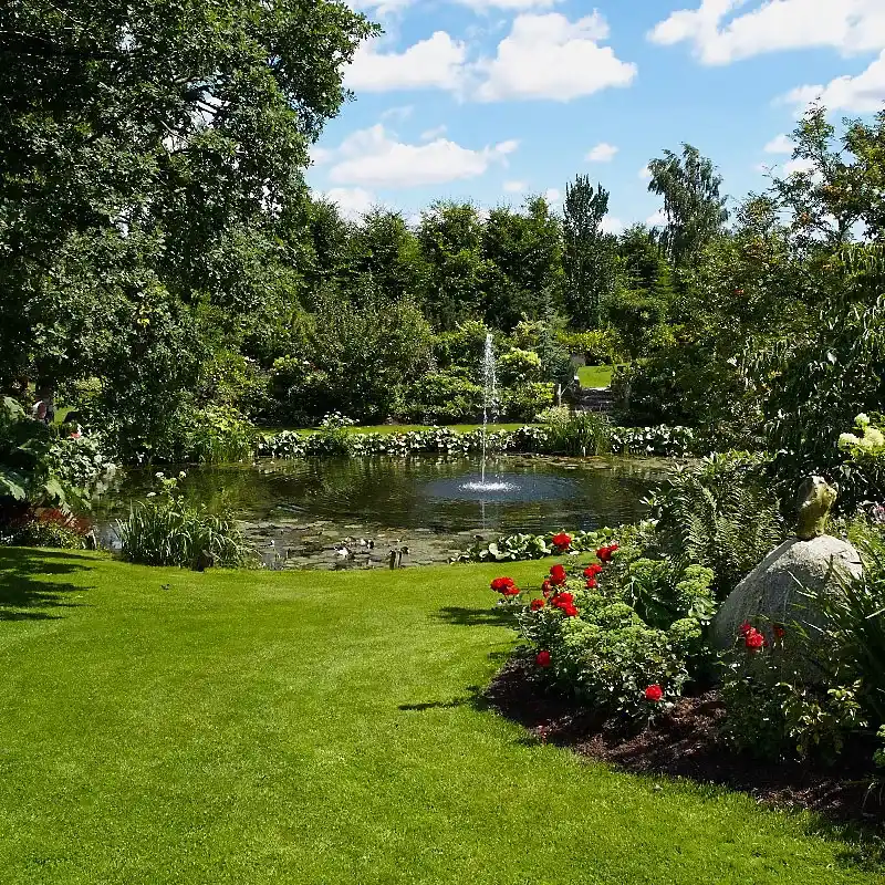 Badeteiche Design Bau Öko-Becken Teiche - IMG 03