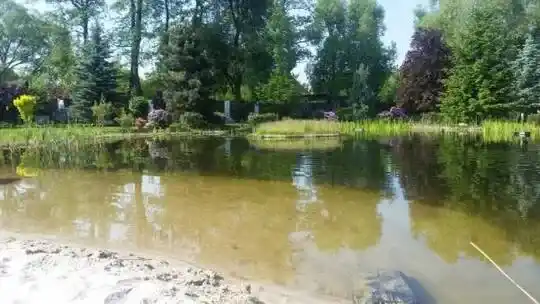 Badeteiche, Designkonstruktion – Dekorative Teiche