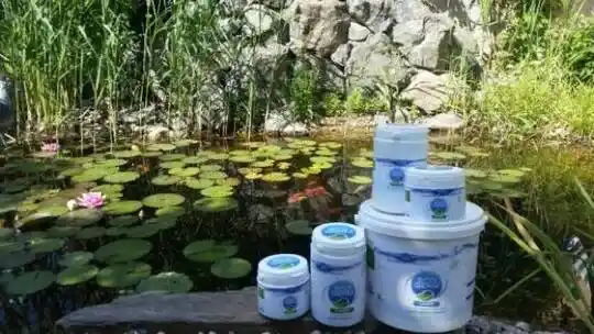 Badeteiche, Entwurf, Bau – Vorbereitungen für Teiche