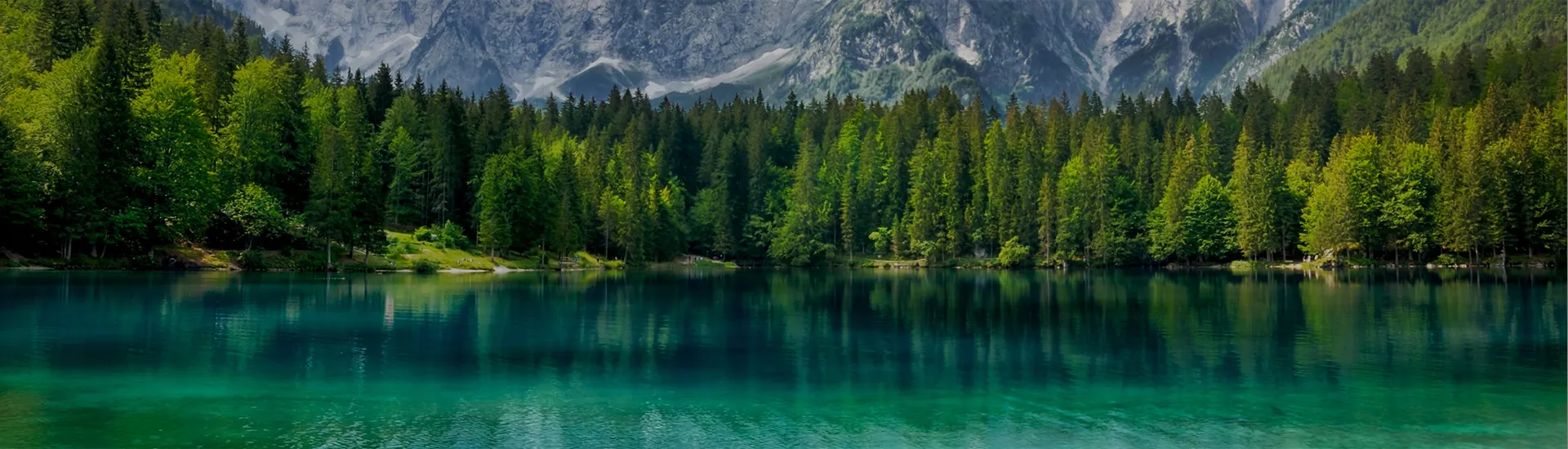 Design der Badeteiche – Rutsche 03