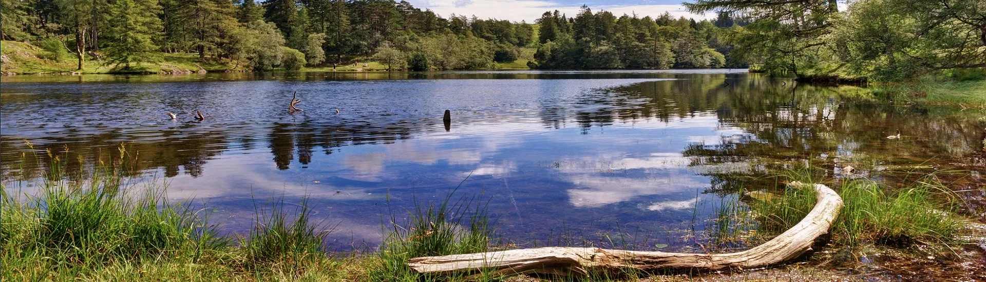 Konstruktion von Badeteichen – Rutsche 02